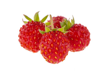 heap of wild strawberry isolated on white