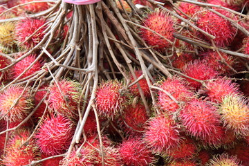 Rambutan Fruit