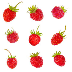 Fototapeta na wymiar set of wild strawberries isoalated