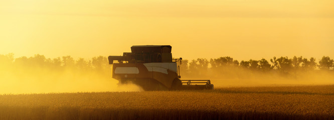 Combine harvester on the field at sunset.