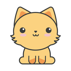 cute cat on white background, feline domestic