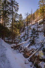 Wonderful snowy forest and river in Koscieliska valley in winter