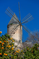 Historic windmill of Es Jonquet in old town of Palma de Mallorca,Palma de Mallorca, Mallorca, Balearic Islands, Spain, Europe © ladistock