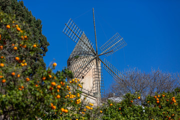 Historic windmill of Es Jonquet in old town of Palma de Mallorca,Palma de Mallorca, Mallorca, Balearic Islands, Spain, Europe © ladistock