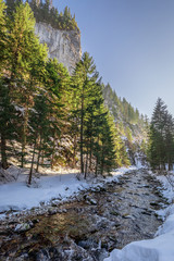 Fototapeta na wymiar Wonderful river and frozen forest in Koscieliska valley in Tatras