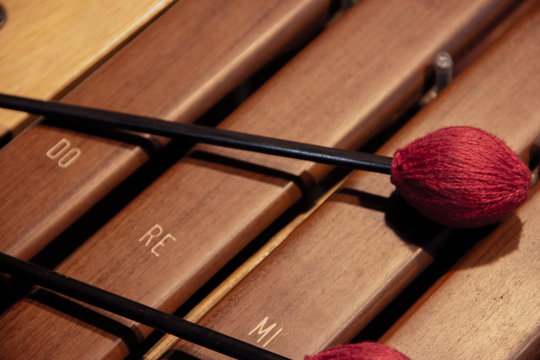 Xylofone e baquetas, detalhes do instrumento musical