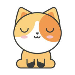cute cat on white background, feline domestic