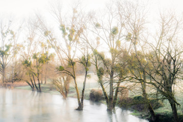 Rive de la rivière Ognon dans la brume