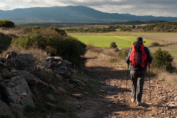 Peregrino entre Undués de Lerda y Sangüesa en el Camino de Santiago Aragonés.