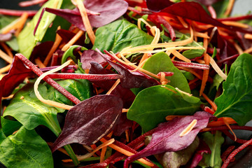 mixed greens lettuce, spinach, baby beetroot leaves and carrots salad