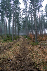 Fototapeta premium Szklarska Poręba last days of winter