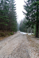 Szklarska Poręba last days of winter