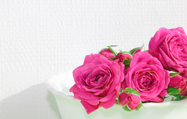 Decorative rose on a white background. Pink little buds. Macro view.