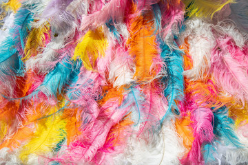 Festal colorful mosaic of feathers