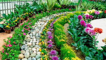 Beautiful Garden