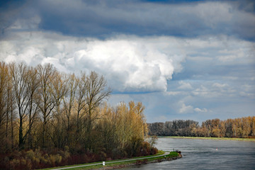 Rhein