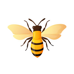Bright colorful bee insect isolated on white.