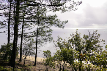 access beach path Carcans sea lake water view france