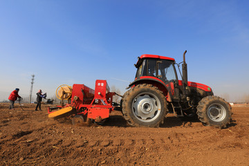 Obraz premium Rotary tiller planters grow peas on farms, Luannan County, Hebei Province, China