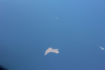 seagull flying in the sky with clouds and sun