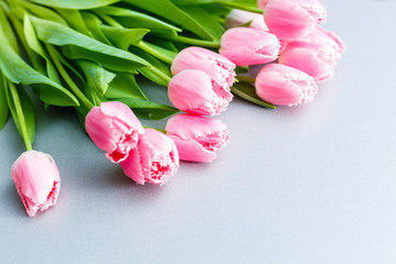 A bouquet of pink tulips on the table for International Women's Day