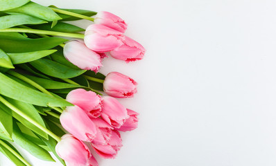 Bunch of pink tulips against white background.