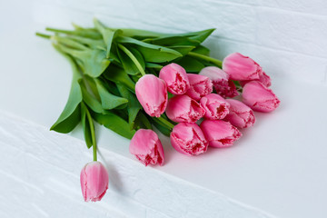 bouquet of pink tulips on a white background
