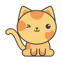cute cat on white background, feline domestic
