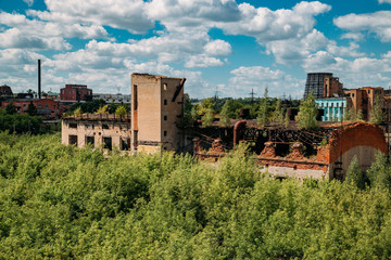 Fototapeta na wymiar Old overgrown by trees abandoned ruined industrial area
