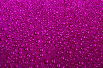 water drops purple background texture