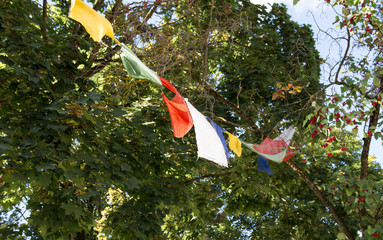 Colorful various flags hang on trees – freedom symbol 
