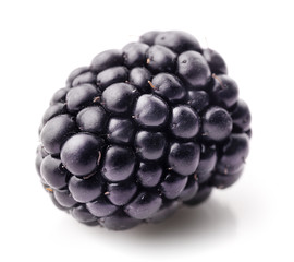 One fresh blackberry isolated on white background