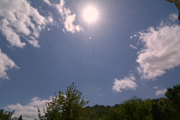 Obraz premium The bright sun over the treetops in summer
