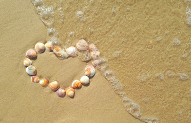 Fototapeta na wymiar Heart made of shells on the seashore, ocean, close-up. declaration of love on a sunny day at sea.
