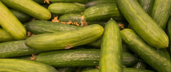green cucumbers lie in a box