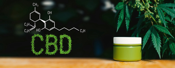 CBD Cannabis Chemical Structural Formula, Cannabis Industry, Growing Hemp, Pharmacy Business, CBD Elements in Marijuana and Medical Health