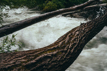 Spring Runoff, Little Cottonwood Canyon, Utah