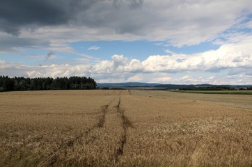 nature and landscape eastern bohemia