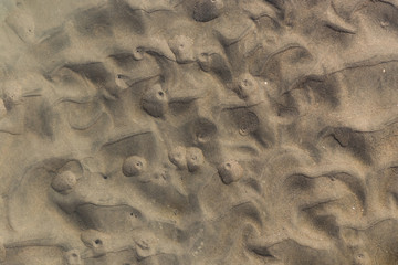 Razor Clam Holes in the San Francisco Water