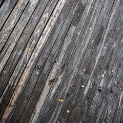 Beautiful and original texture.