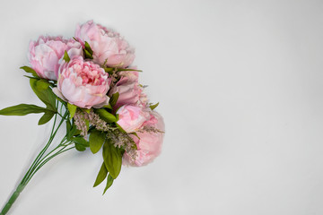 bouquet of pink peonies on white background copy space.