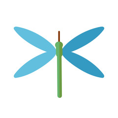 dragonfly insect icon, flat style
