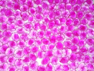 abstract background with pink