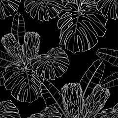 Floral Seamless pattern. Line exotic protea (Sugar bushes and African) flowers and monstera leaves. Textile composition, hand drawn style print. 