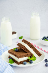 Chocolate cake with milk cream filling on a white plate with fresh blueberries and mint leaves with two bottles of milk and tubes. Children's delicious dessert. Vertical orientation. Copy space