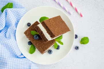 Chocolate cake with milk cream filling on a white plate with fresh blueberries and mint leaves with two bottles of milk and tubes. Children's delicious dessert. Horizontal, Top view, close up