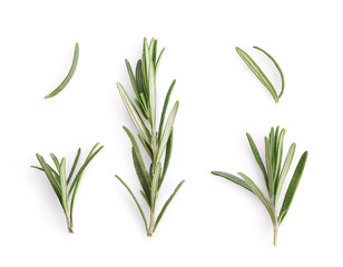 Fresh green rosemary sprigs isolated on a white background