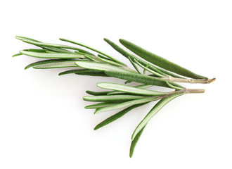 Fresh green rosemary sprigs isolated on a white background