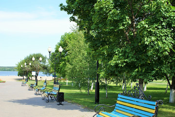 City park in summer, wildlife, trees.