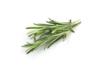 Fototapeta premium Fresh green rosemary sprig isolated on a white background